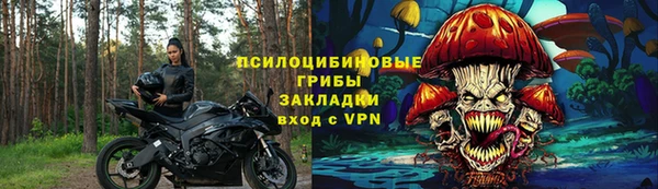 синтетический гашиш Богородицк